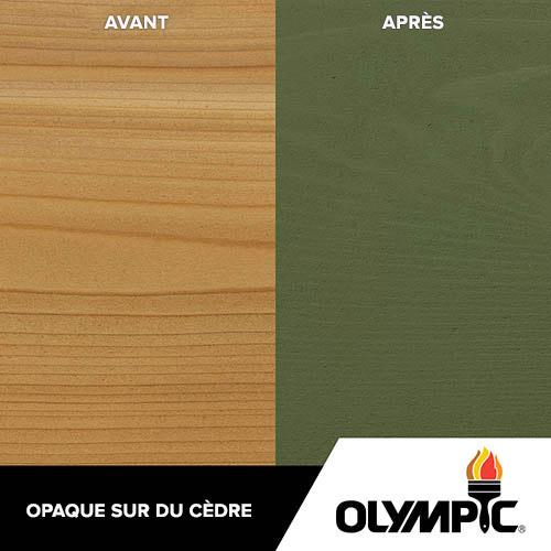Couleurs de teinture pour bois extérieur - Vert Woodland - Couleurs de teinture pour bois de Olympic.com