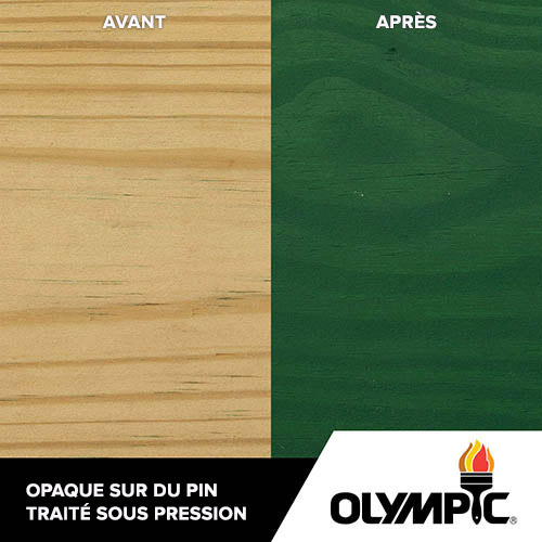 Couleurs de teinture pour bois extérieur - Forêt - Couleurs de teinture pour bois de Olympic.com