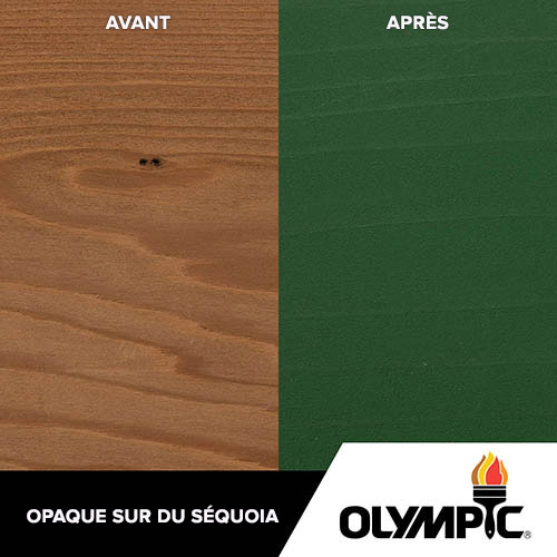 Couleurs de teinture pour bois extérieur - Forêt - Couleurs de teinture pour bois de Olympic.com