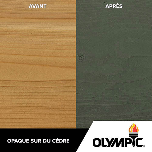 Couleurs de teinture pour bois extérieur - Gris ébène - Couleurs de teinture pour bois de Olympic.com