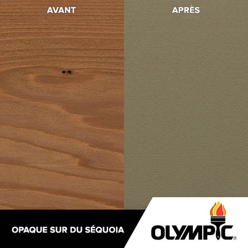 Couleurs de teinture pour bois extérieur - Cendre foncée - Couleurs de teinture pour bois de Olympic.com