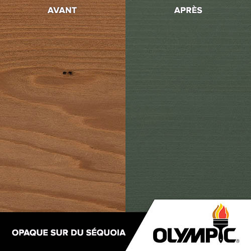 Couleurs de teinture pour bois extérieur - Gris rocher - Couleurs de teinture pour bois de Olympic.com