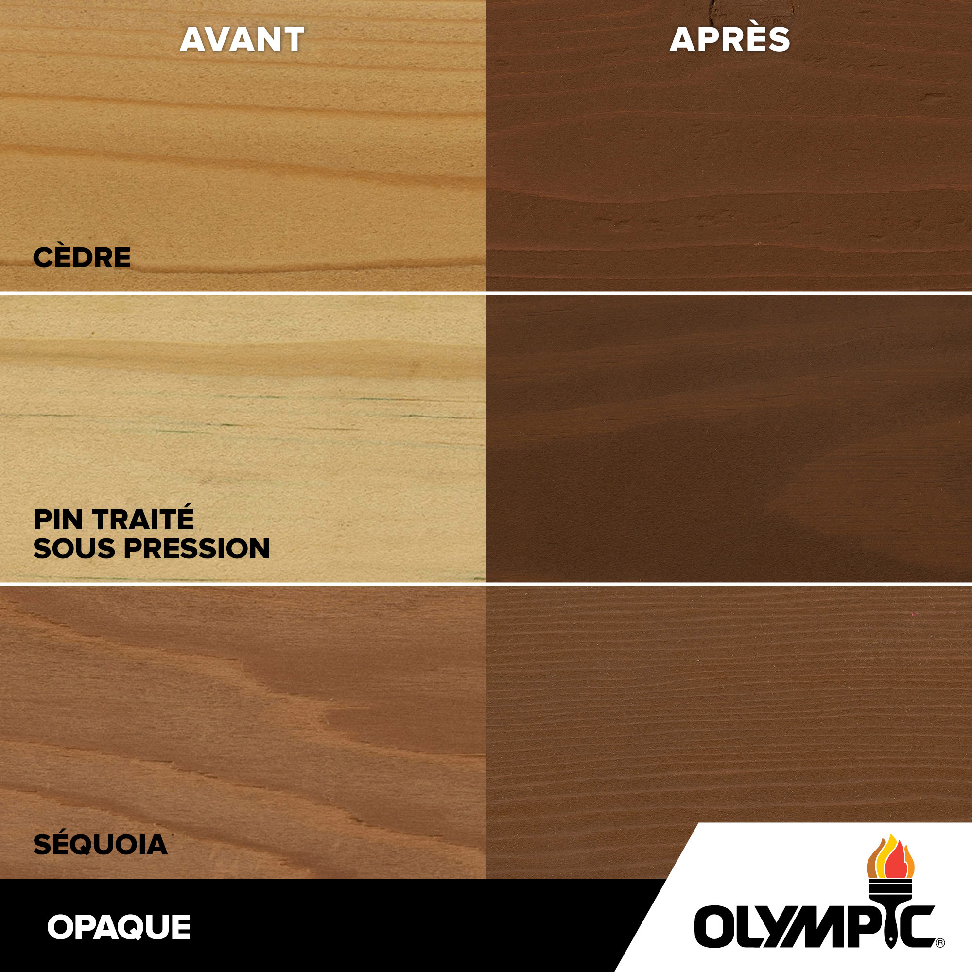 Couleurs de teinture pour bois extérieur - Châtain - Couleurs de teinture pour bois de Olympic.com