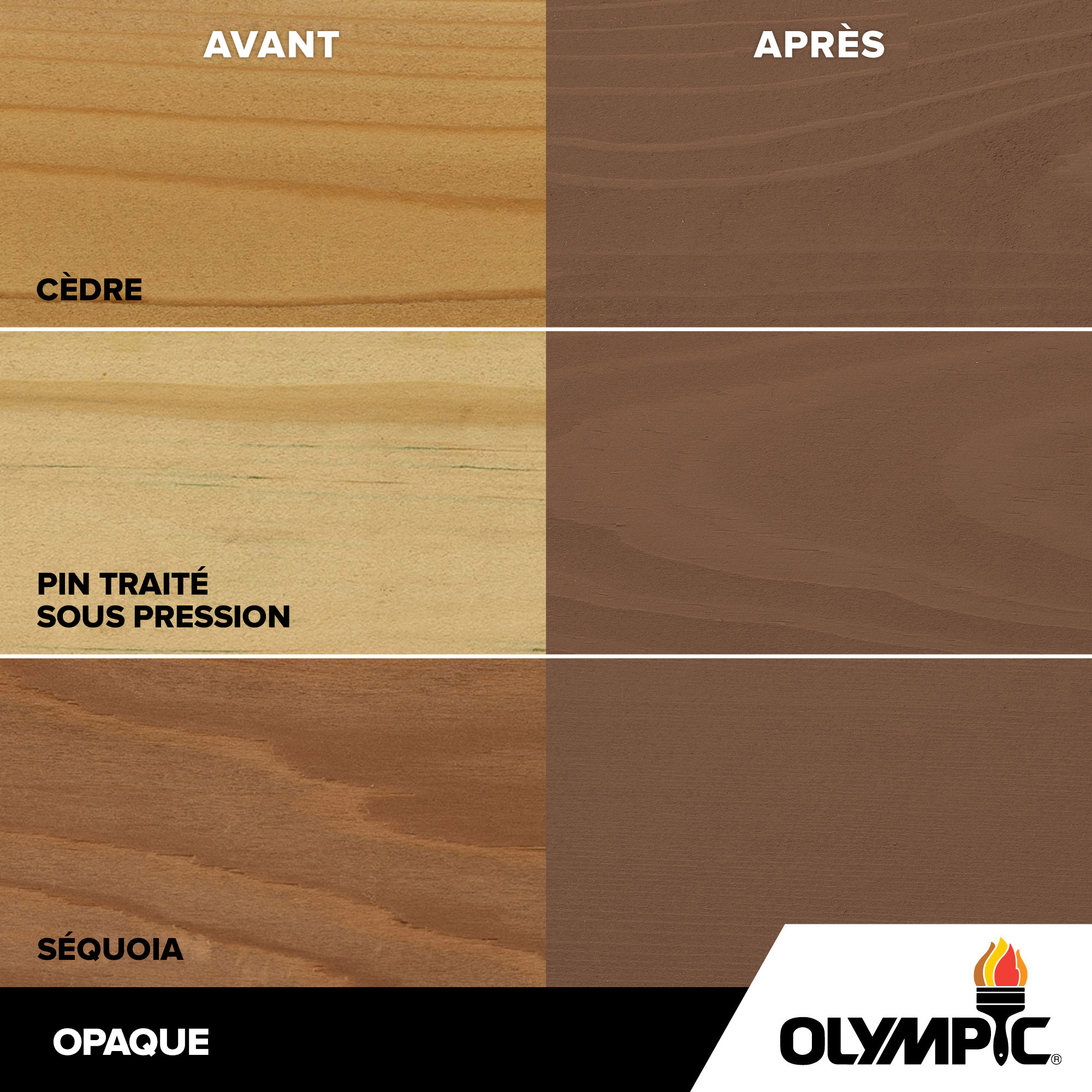 Couleurs de teinture pour bois extérieur - Marmotte - Couleurs de teinture pour bois de Olympic.com