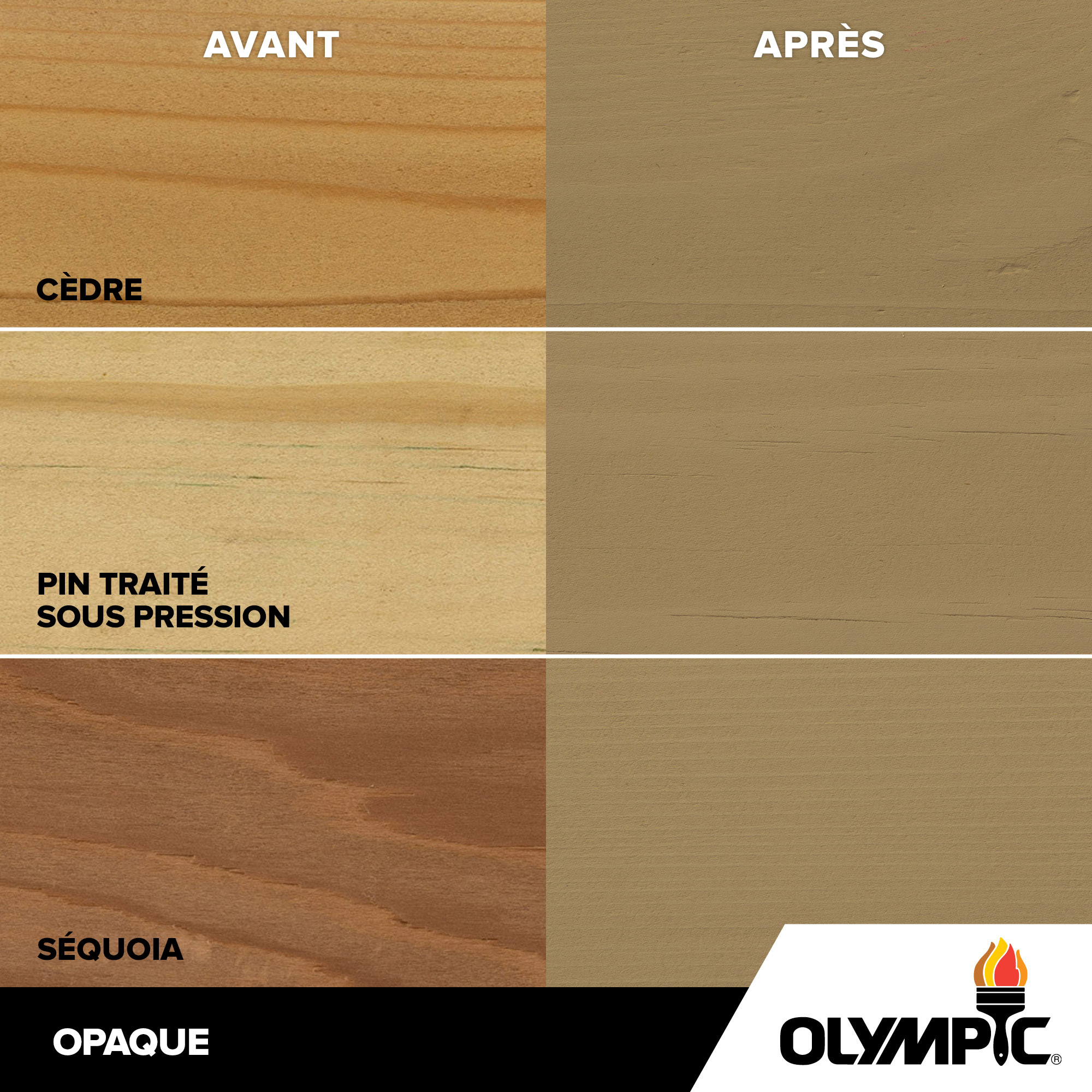 Couleurs de teinture pour bois extérieur - Gris beige - Couleurs de teinture pour bois de Olympic.com