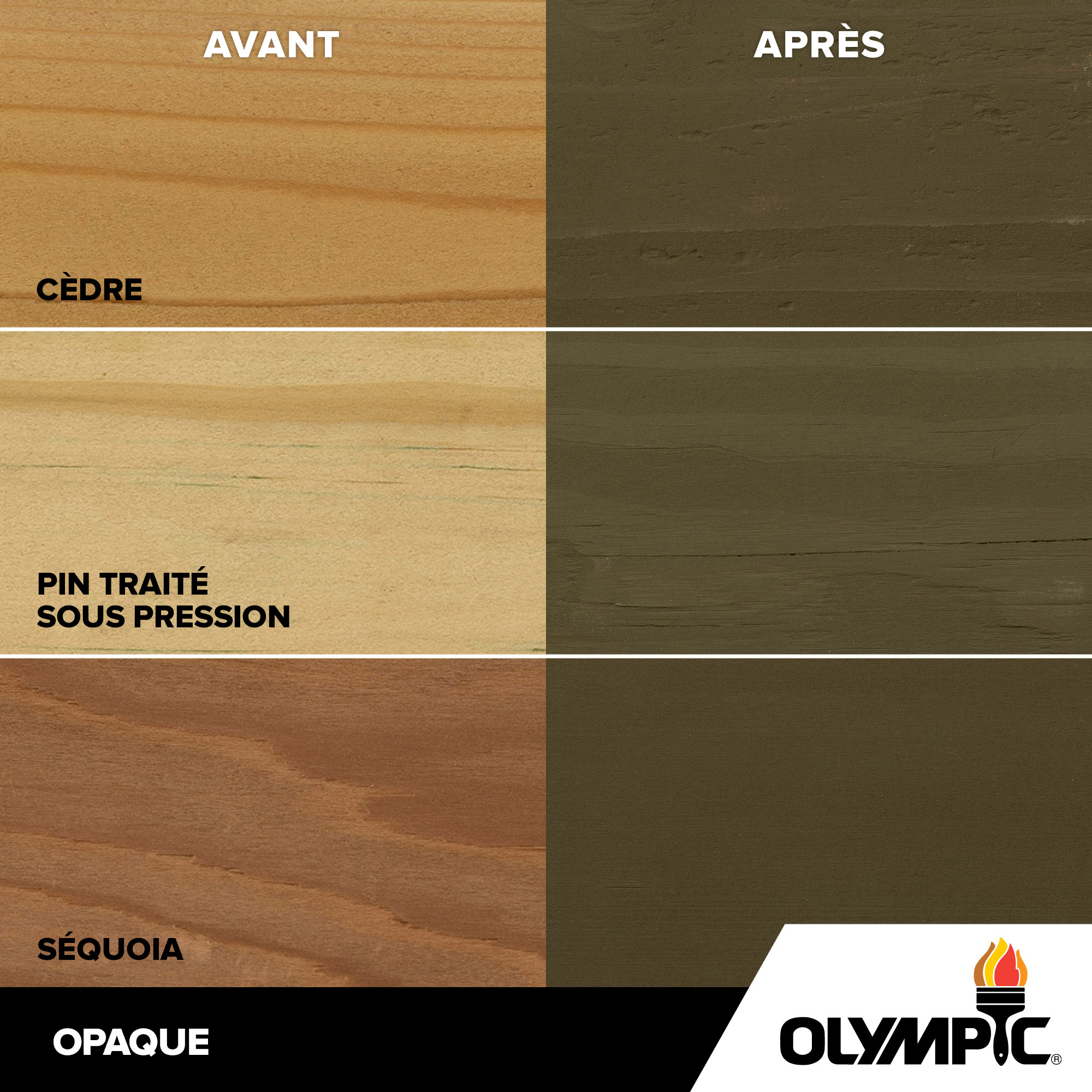 Couleurs de teinture pour bois extérieur - Myrique - Couleurs de teinture pour bois de Olympic.com