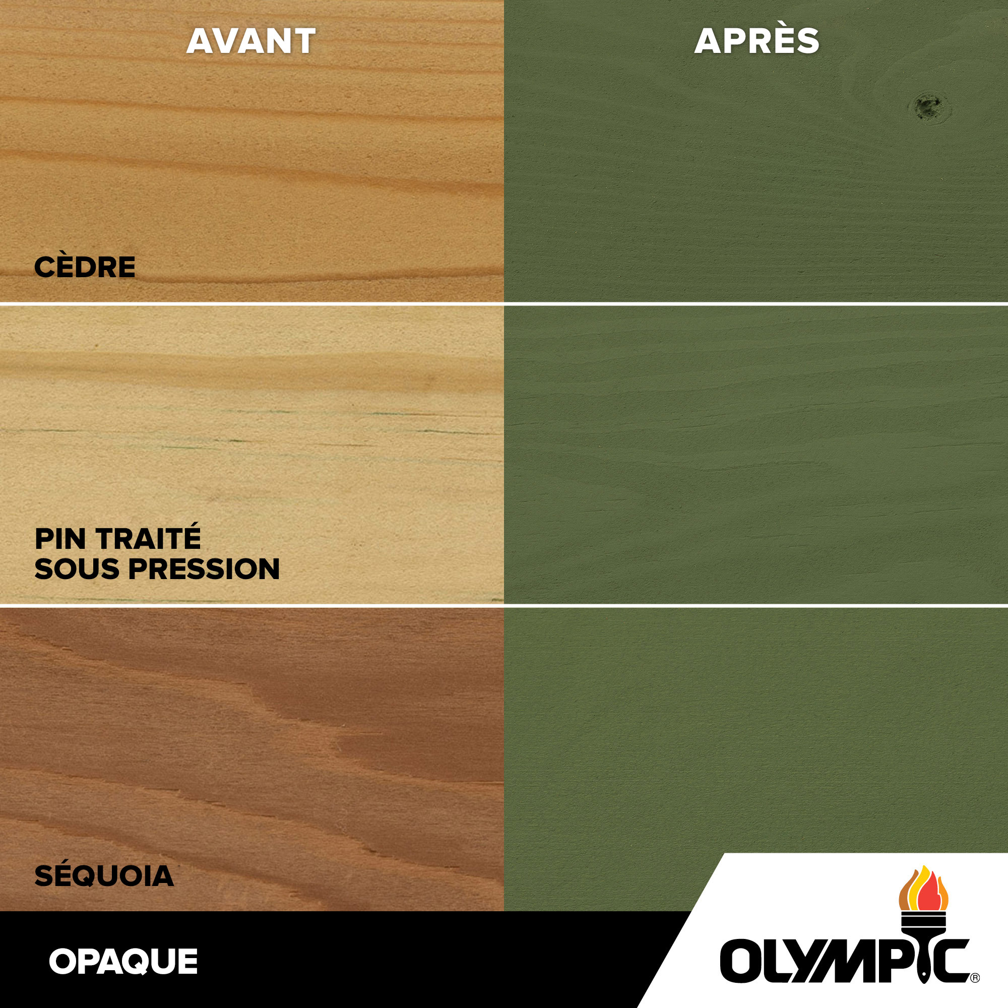 Couleurs de teinture pour bois extérieur - Vert Woodland - Couleurs de teinture pour bois de Olympic.com