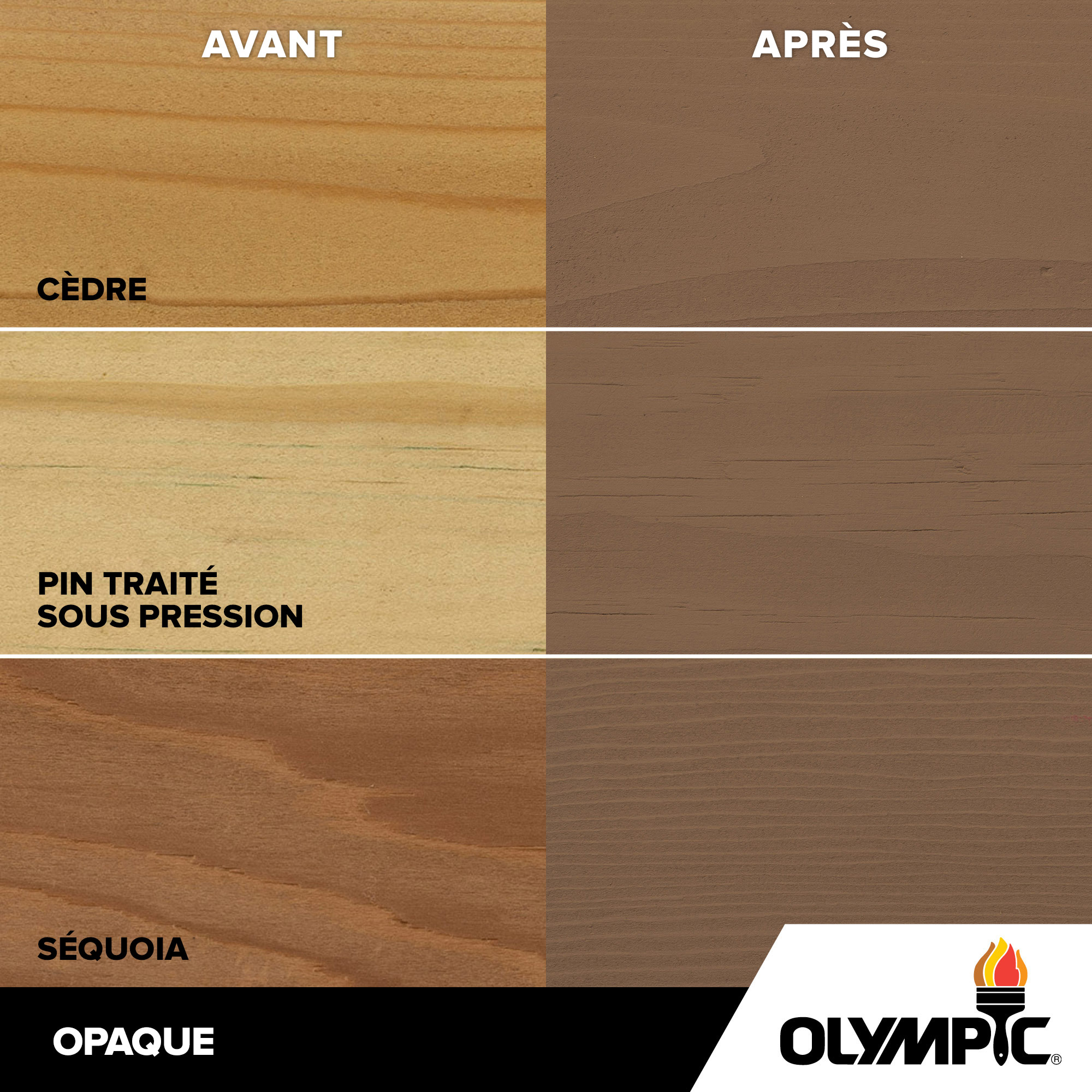 Couleurs de teinture pour bois extérieur - Tanglewood - Couleurs de teinture pour bois de Olympic.com