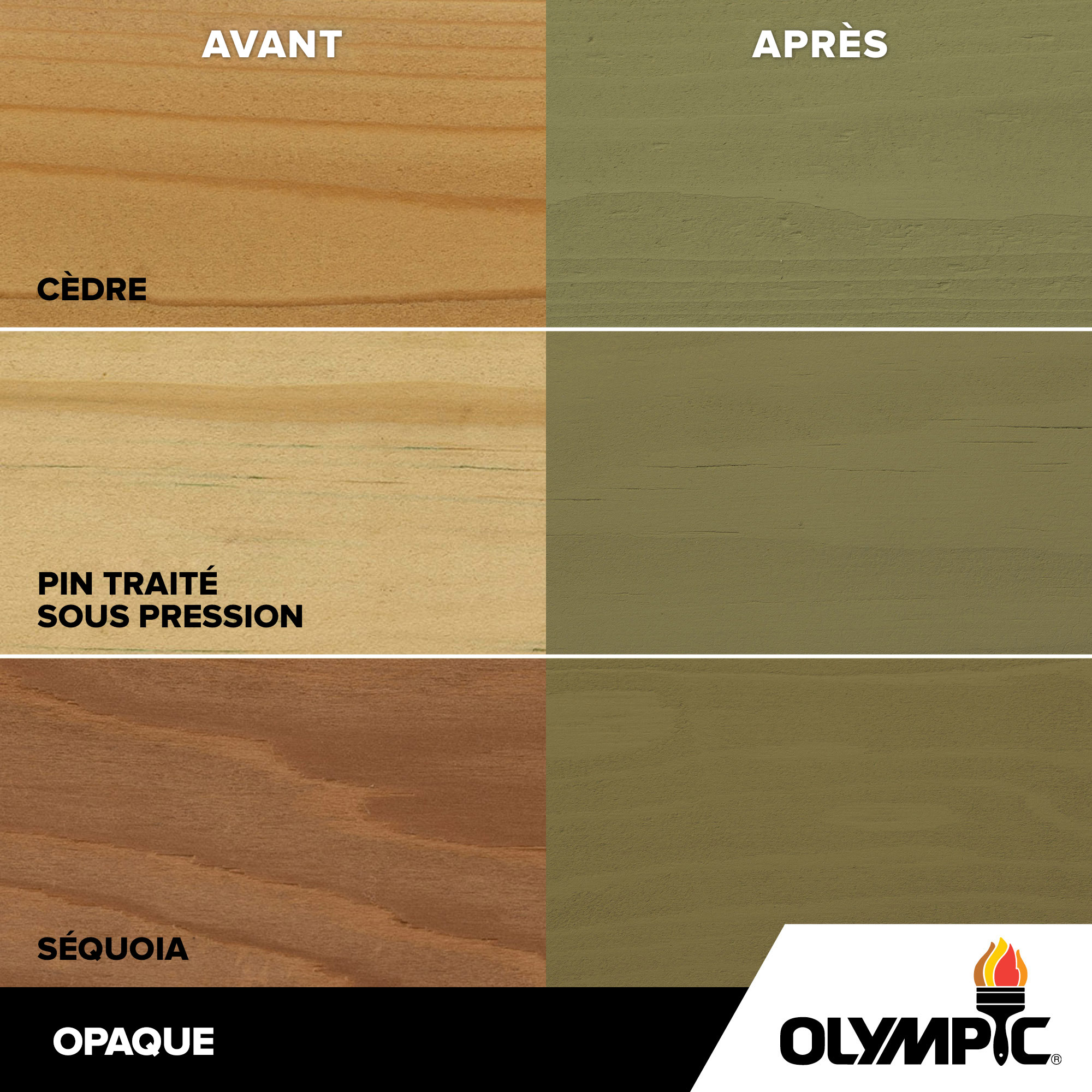 Couleurs de teinture pour bois extérieur - Sauge - Couleurs de teinture pour bois de Olympic.com