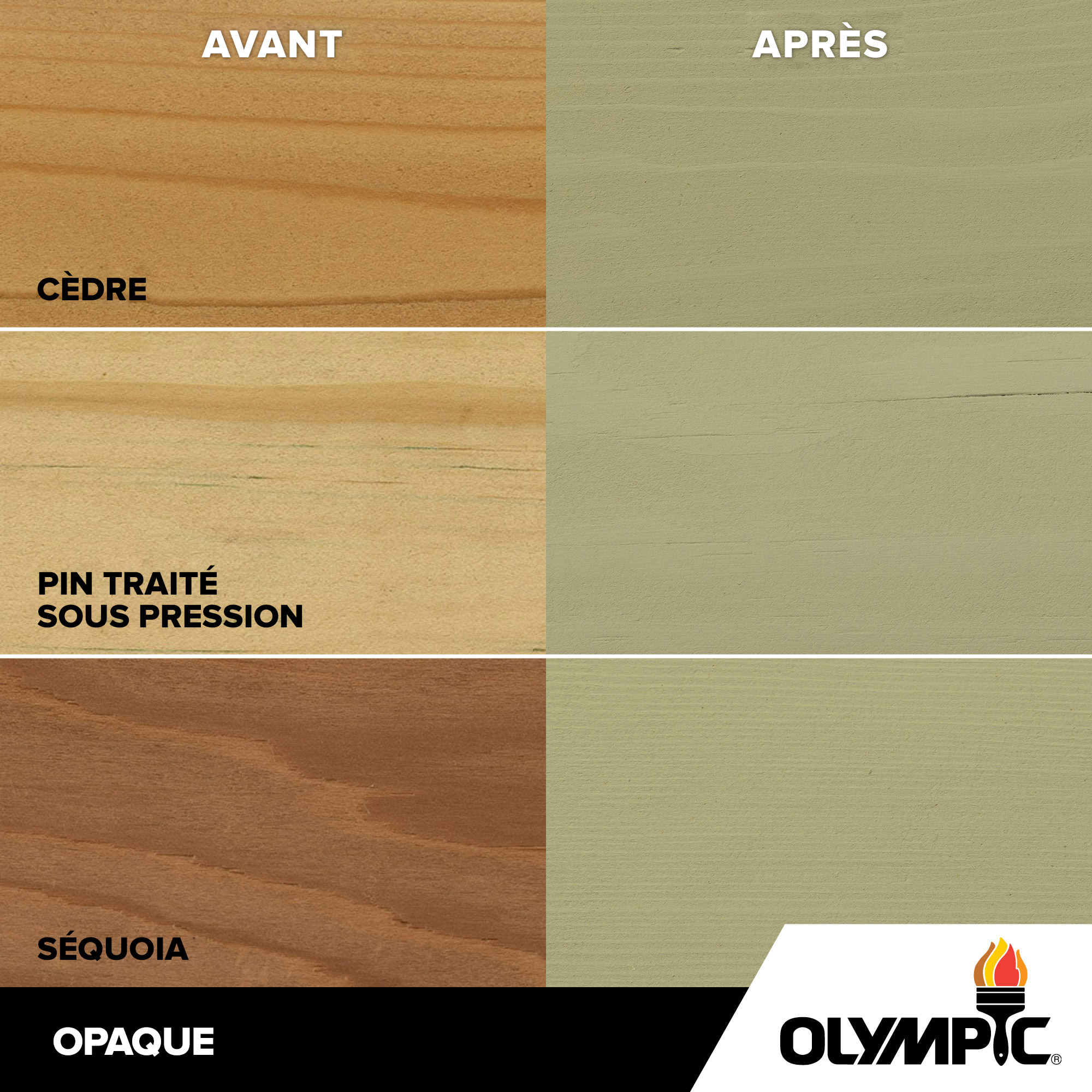 Couleurs de teinture pour bois extérieur - Eucalyptus - Couleurs de teinture pour bois de Olympic.com